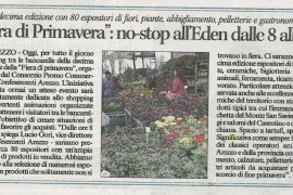 Corriere di Arezzo 24 maggio 2015