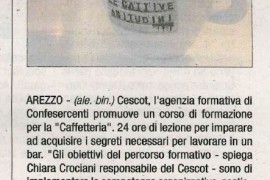 Corriere di Arezzo – Corriere di Siena 11 novembre 2015