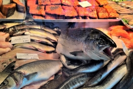 Assoittici: prezzi del pesce fermi e corsa al rialzo dei costi energetici mettono le imprese del settore in difficoltà