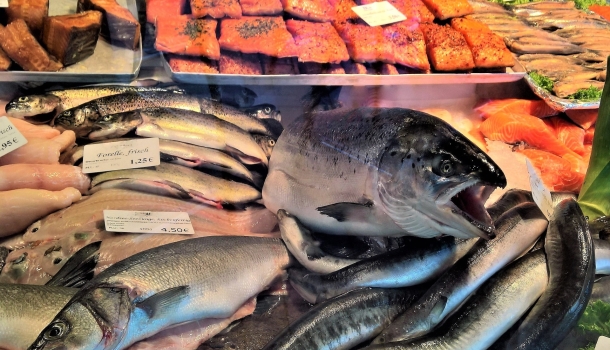 Assoittici: prezzi del pesce fermi e corsa al rialzo dei costi energetici mettono le imprese del settore in difficoltà